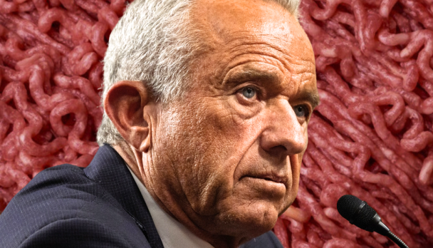 Untitled design (30)