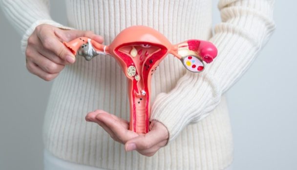 shutterstock_2269230715