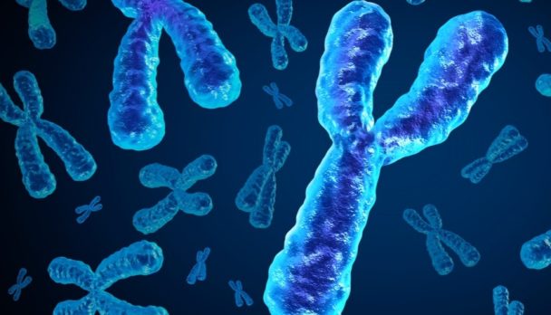 shutterstock_2430506699